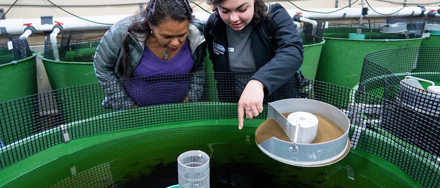 两个东北大学的学生在检查一个水产养殖池