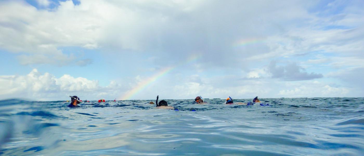 在伯利兹的彩虹下浮潜