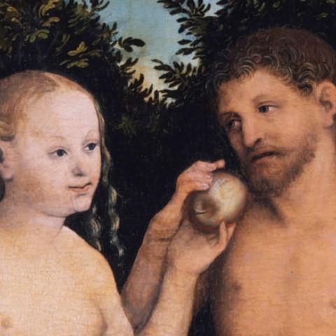 亚当和夏娃的插图 